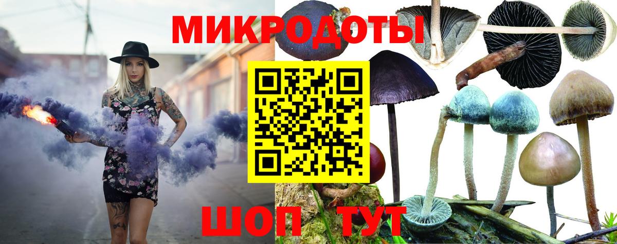 Псилоцибиновые грибы Psilocybine cubensis  Галлюциногенные грибы Psilocybe  Вход с VPN  Южноуральск 