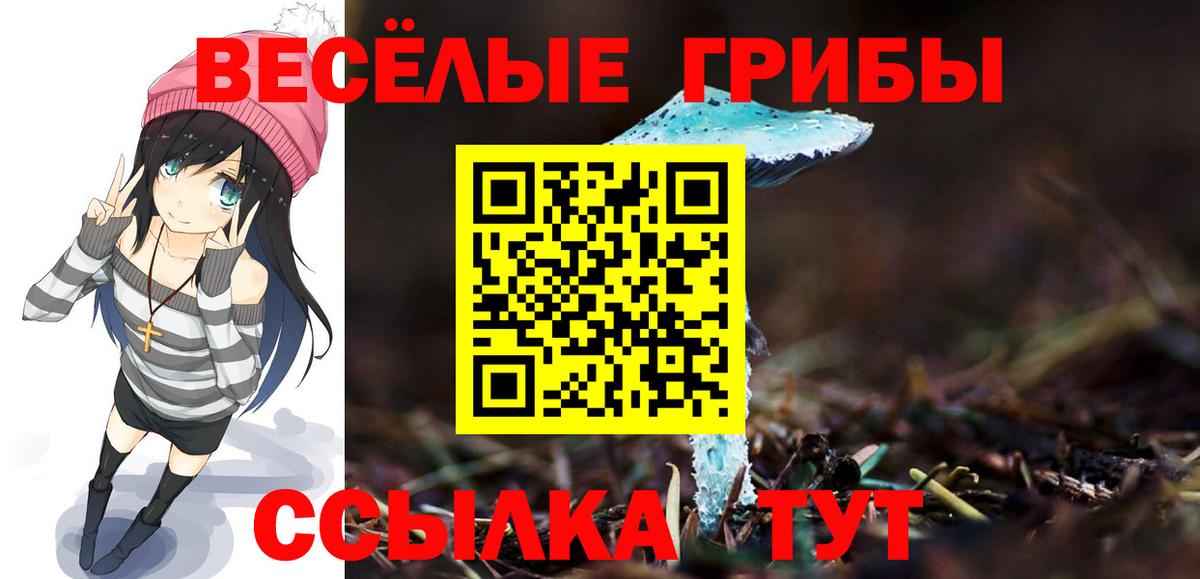 Галлюциногенные грибы Psilocybe Южноуральск